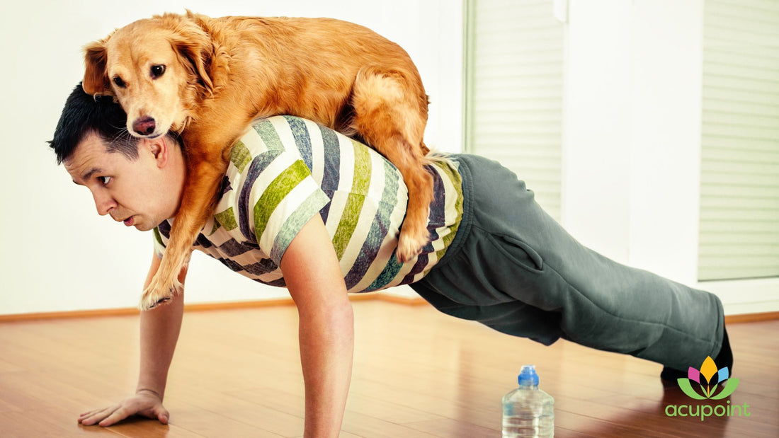 A man exercising with a dog on his back
